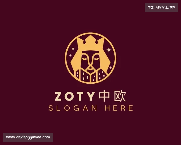 介绍zoty中欧